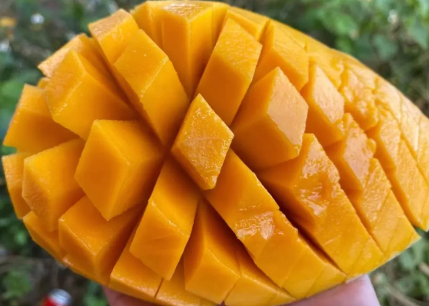 1697438634333991.png 微(wēi)信截圖_20230803142823.png