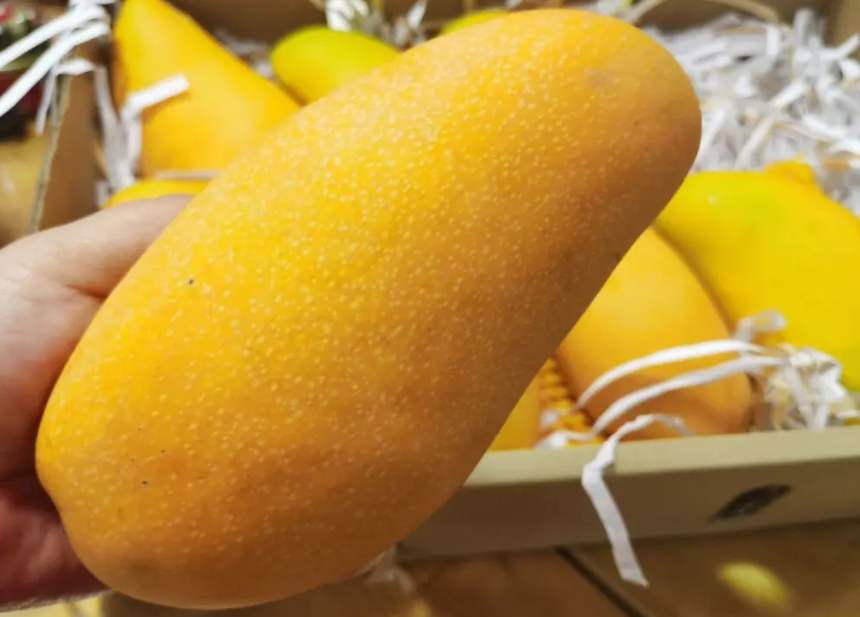 1697438671307462.png 微信截圖_20230803143027.png