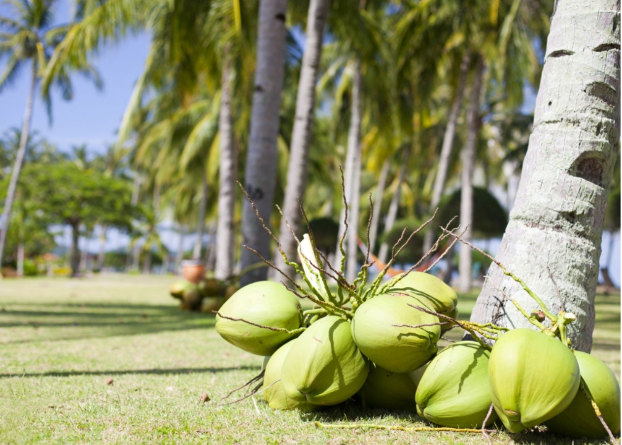 1698135343552130.png 微信(xìn)截圖_20231024161415.png