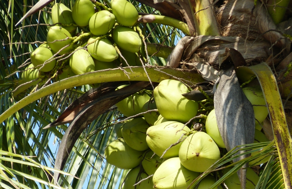 1698135353958565.png 微信截(jié)圖_20231024161449.png