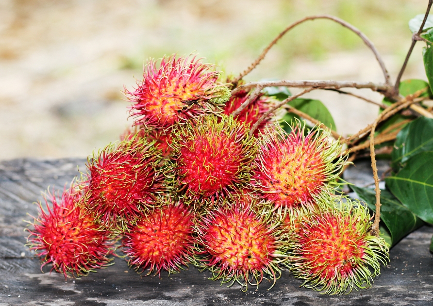 1741937828850900.png 微信截圖_20250314113919.png