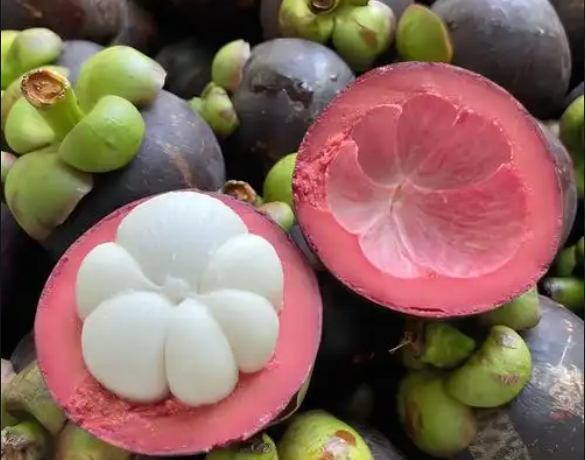 1749024398430073.png 微信截圖_20250604142008.png