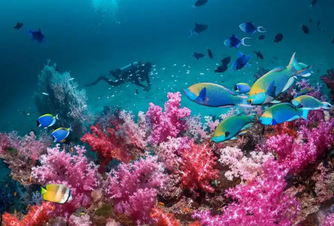 1752049775548925.png 微信截圖_20250709155848.png