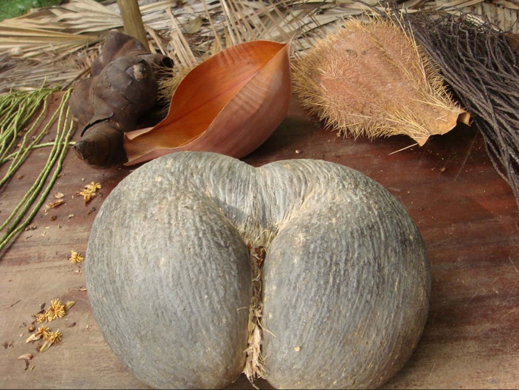 1752481375480779.png 微信截圖_20250711164140.png