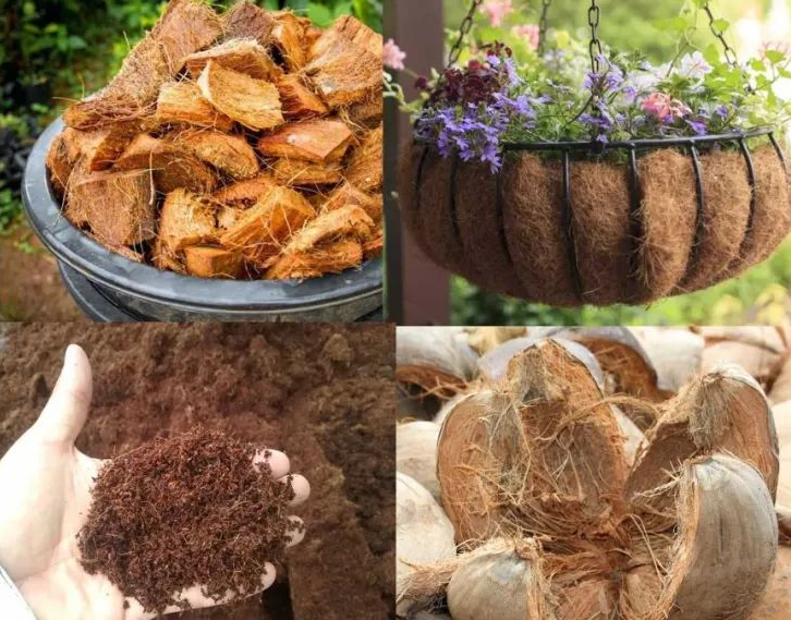 1697439274239344.png 微信截圖_20230815105559.png