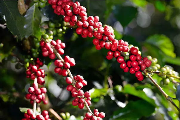 1697439531834569.png 微信截圖_20230818103858.png