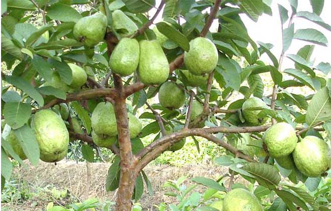 1697439642125338.png 微(wēi)信截圖_20230818105624.png