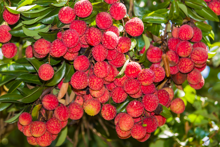 1697440140166467.png 微信截圖_20230822135405.png