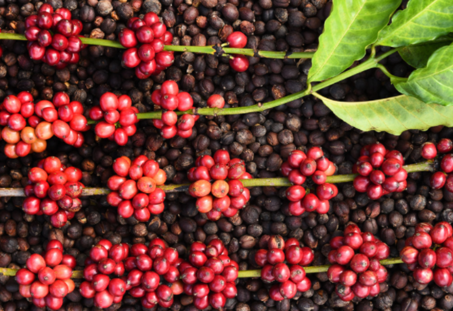 1697440650918464.png 微信截圖_20230825145457.png