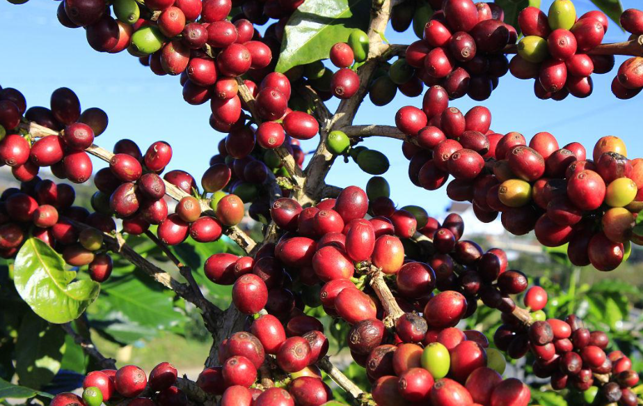 1697440658553542.png 微(wēi)信截圖_20230825145633.png