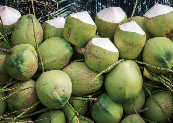 1697440824706335.png 微信截圖_20230829094559.png