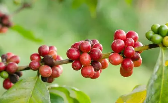 1697440977847946.png 微信截圖_20230825145310.png