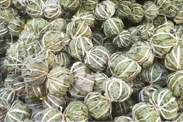 1697441324528291.png 微信截圖(tú)_20230914140655.png