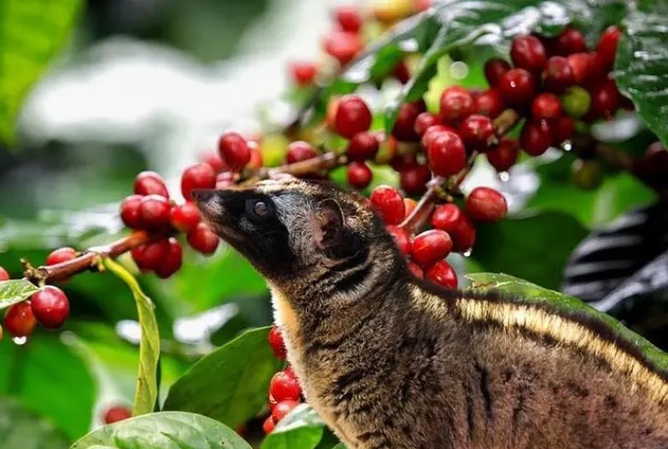 1697442222492827.png 微信截圖_20230829152211.png