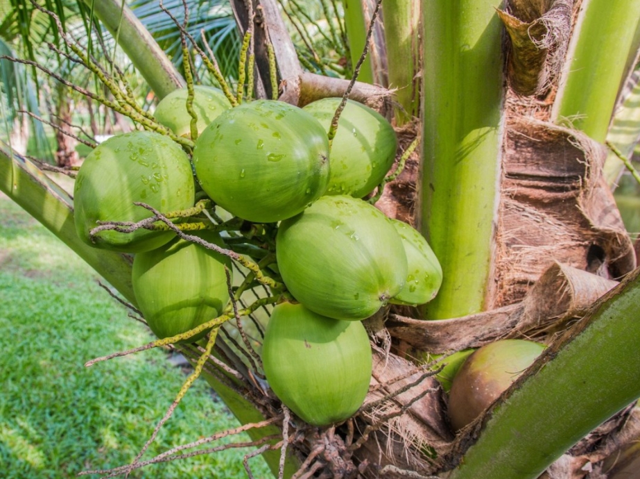 1699856896737348.png 微信截圖_20231108113654.png