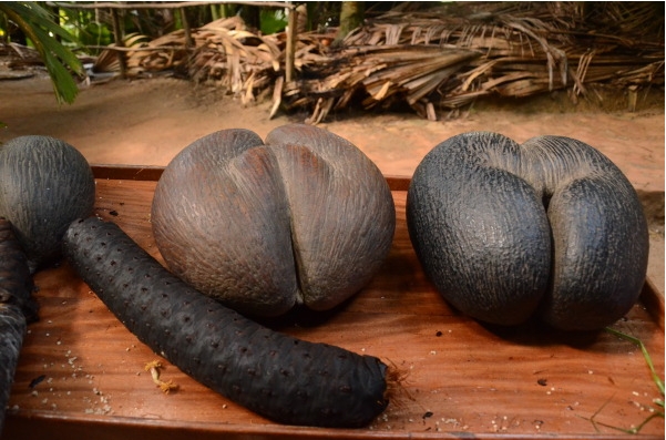 1699943931310103.png 微信截圖_20231109143834.png