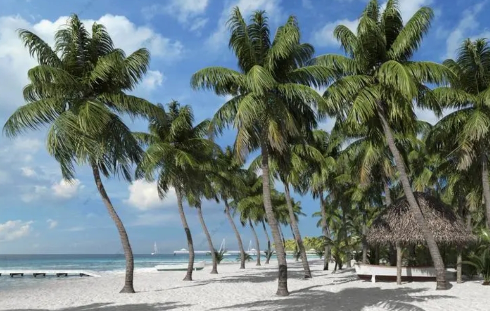 1700203595140445.png 微信截圖_20231115151520.png