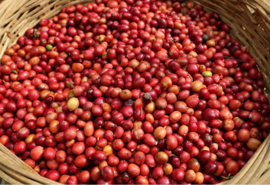 1701661506917652.png 微信截圖_20231122150357.png