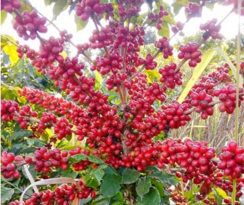 1704877829830929.png 微信(xìn)截圖_20240108152005.png