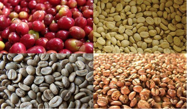 1704877834644721.png 微信截圖_20240108152050.png