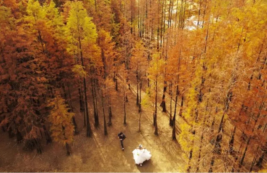 1706685545616873.png 微(wēi)信截圖_20240129151029.png