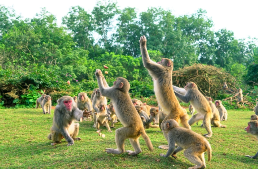 1708842474887396.png 微信截圖_20240119150657.png