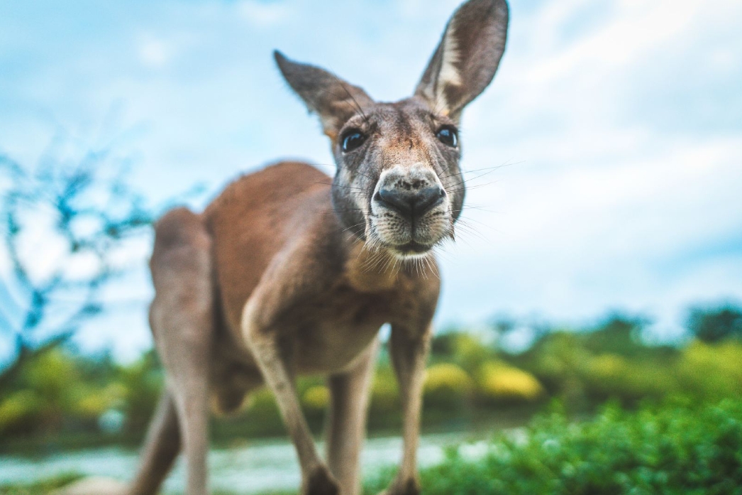 1708843528132347.png 微信截圖_20240119154541.png