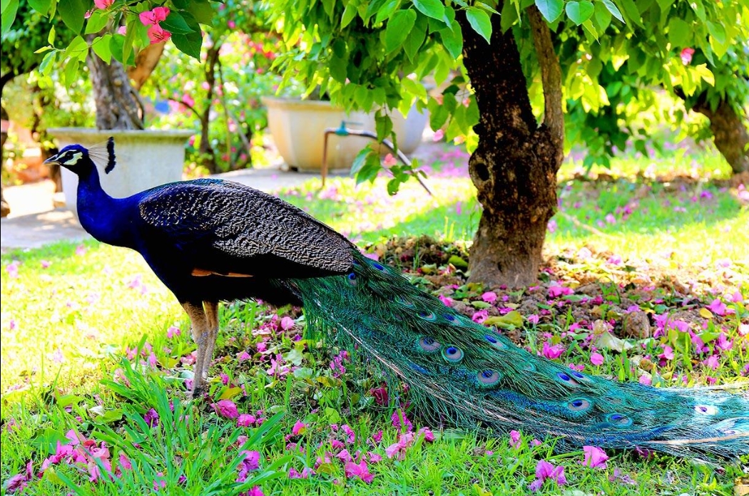 1708843533496626.png 微信截圖_20240119155714.png