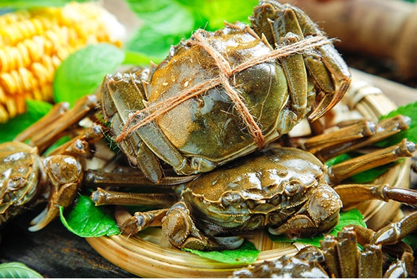 1709110221467577.png 微信截圖_20240225163458.png