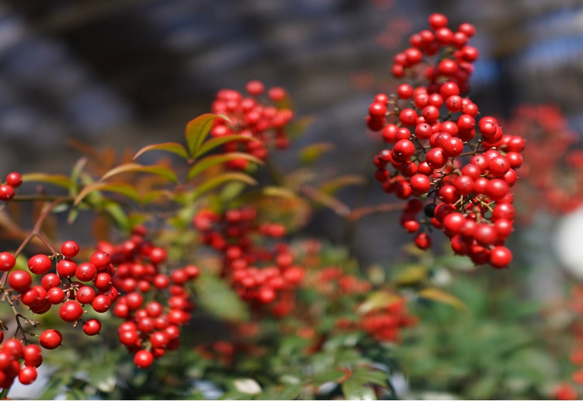 1709709650536136.png 微信截圖(tú)_20240302142427.png