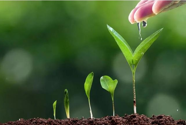 1710229212579442.png 微(wēi)信截圖_20240311095902.png