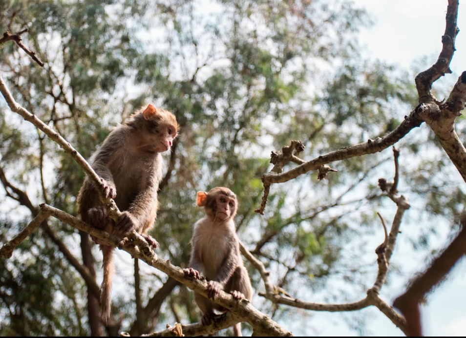 1710751486649778.png 微信截(jié)圖_20240301151038.png