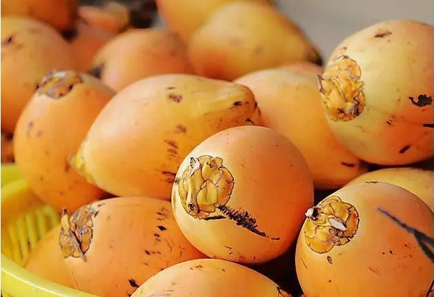 1711610722115409.png 微信(xìn)截(jié)圖_20240325160751.png