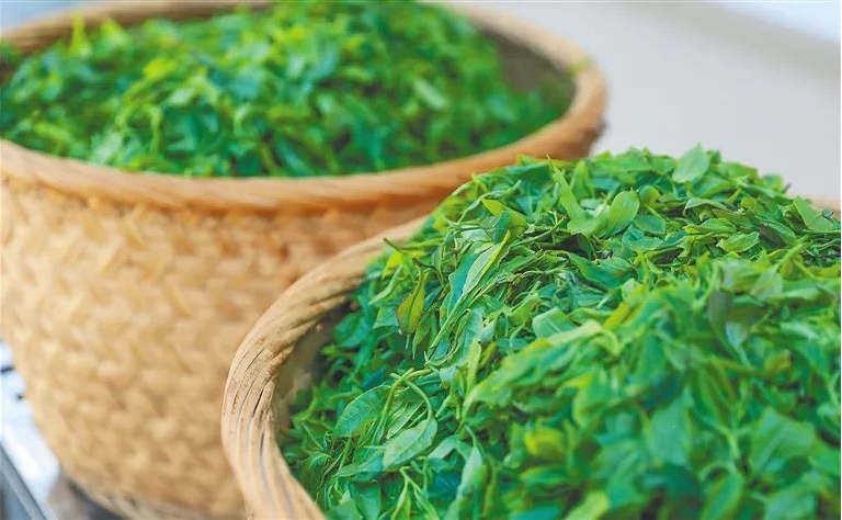 1713943712979057.png 微信截圖_20240208103633.png