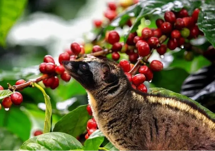 1714982164484569.png 微信截圖_20231108154327.png