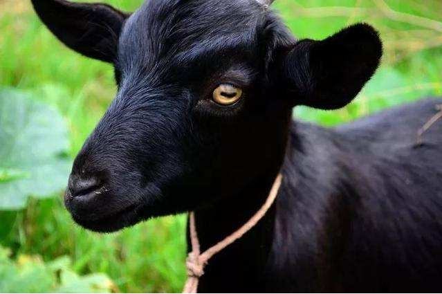 1715234950423859.png 微信(xìn)截圖_20240509094053.png