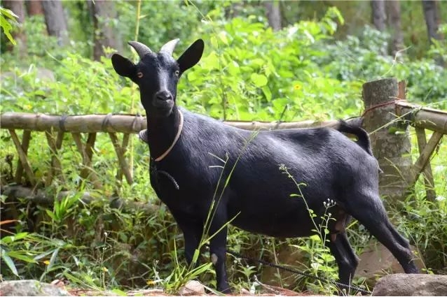 1715234963172023.png 微(wēi)信截圖_20240509094249.png