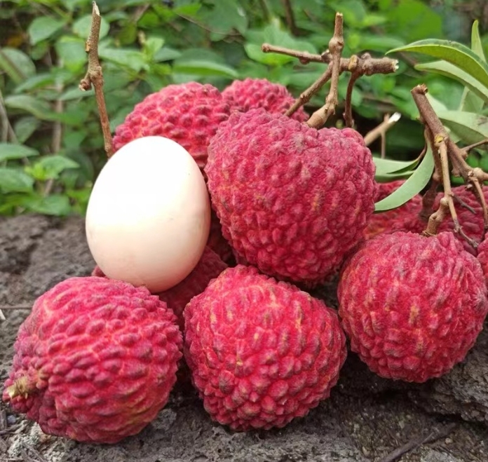 1717481954320241.png 微信截(jié)圖_20240531151732.png