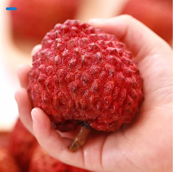 1717481962302486.png 微(wēi)信截圖_20240531151649.png