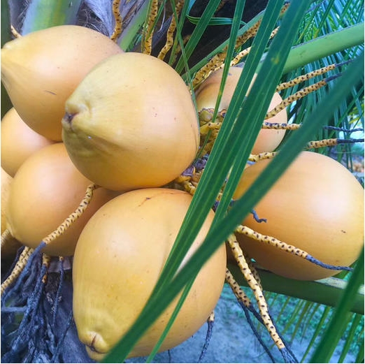 1717574847998520.png 微信(xìn)截圖_20240605152638.png