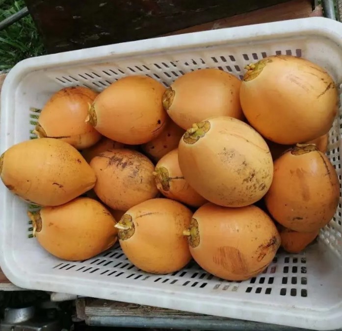 1717574857889866.png 微信截圖(tú)_20240605152744.png