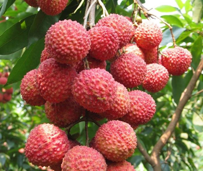 1718180016305728.png 微信截(jié)圖_20240612152837.png