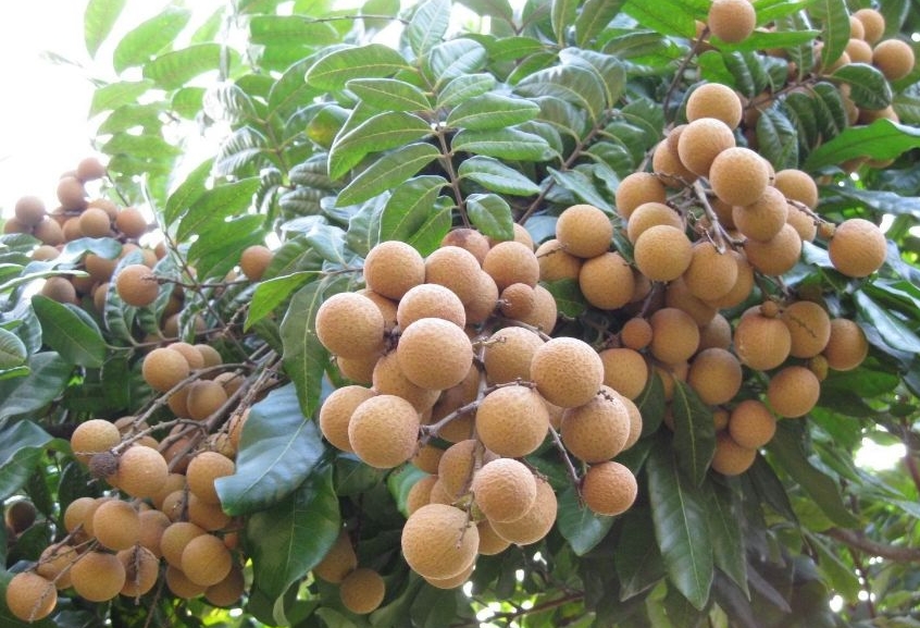 1718333080574315.png 微信截圖_20240614102750.png