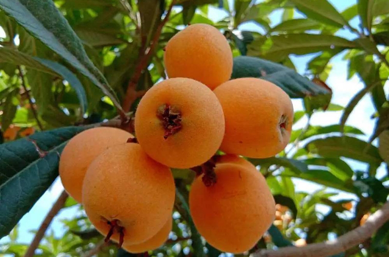 1718333091976169.png 微信截圖_20240614102824.png