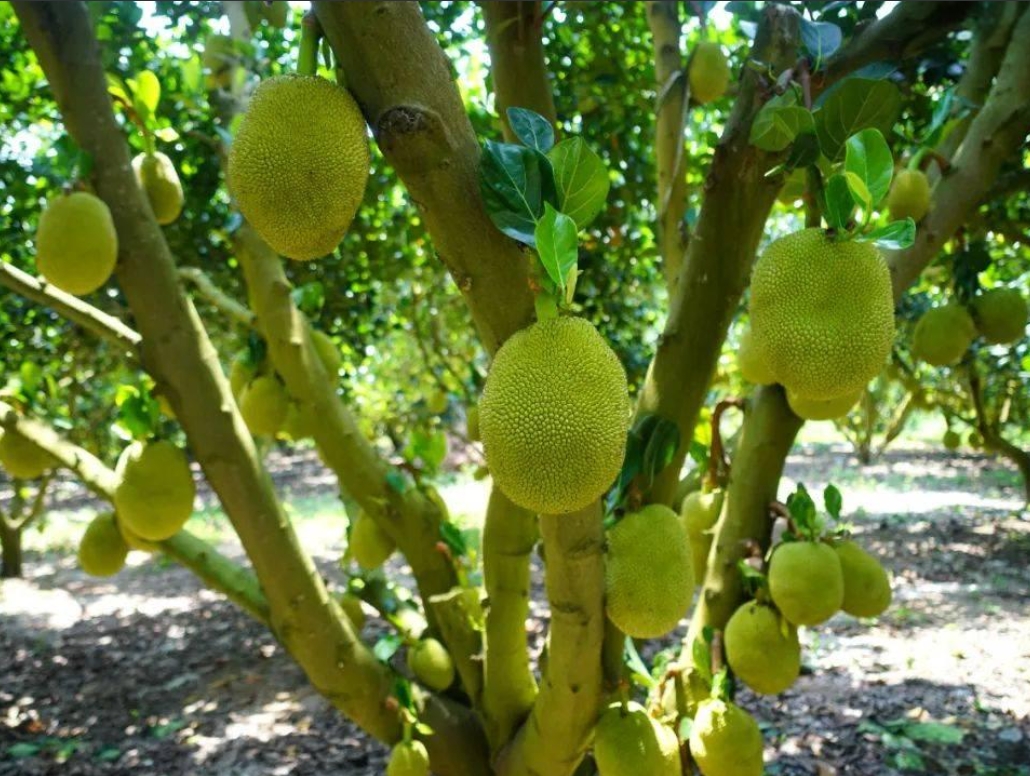 1718955807775630.png 微信(xìn)截圖_20240619151324.png