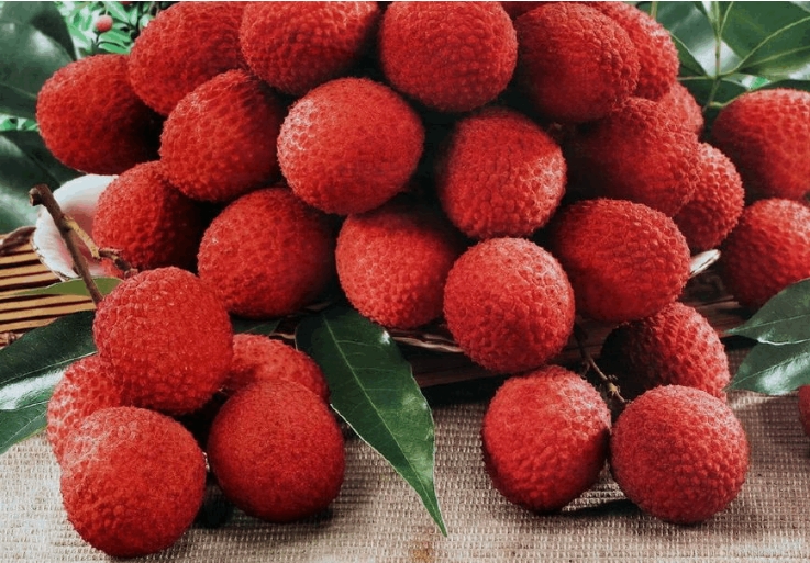 1719388781157586.png 微信截圖(tú)_20240624170342.png