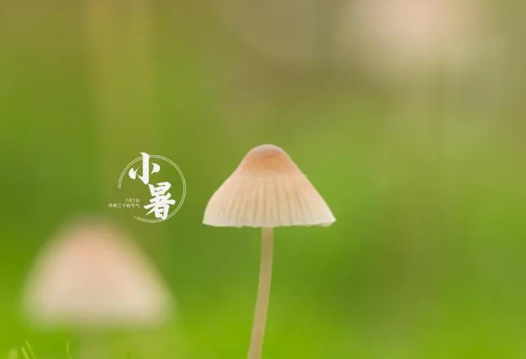 1720425391178921.png 微信截圖(tú)_20240704160619.png