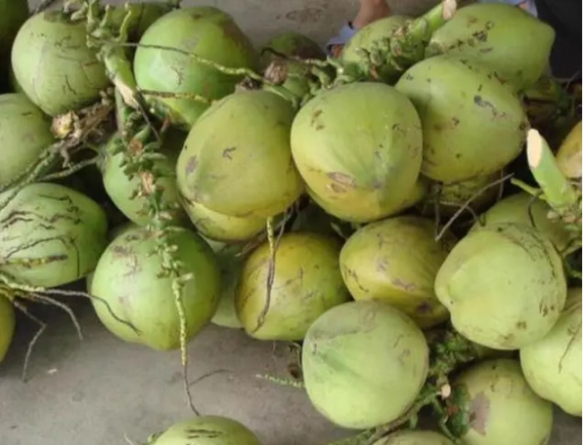 1720595510675236.png 微信截圖(tú)_20240709150334.png