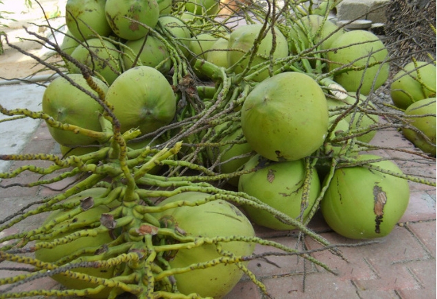 1720595517145762.png 微信(xìn)截(jié)圖_20240709150308.png