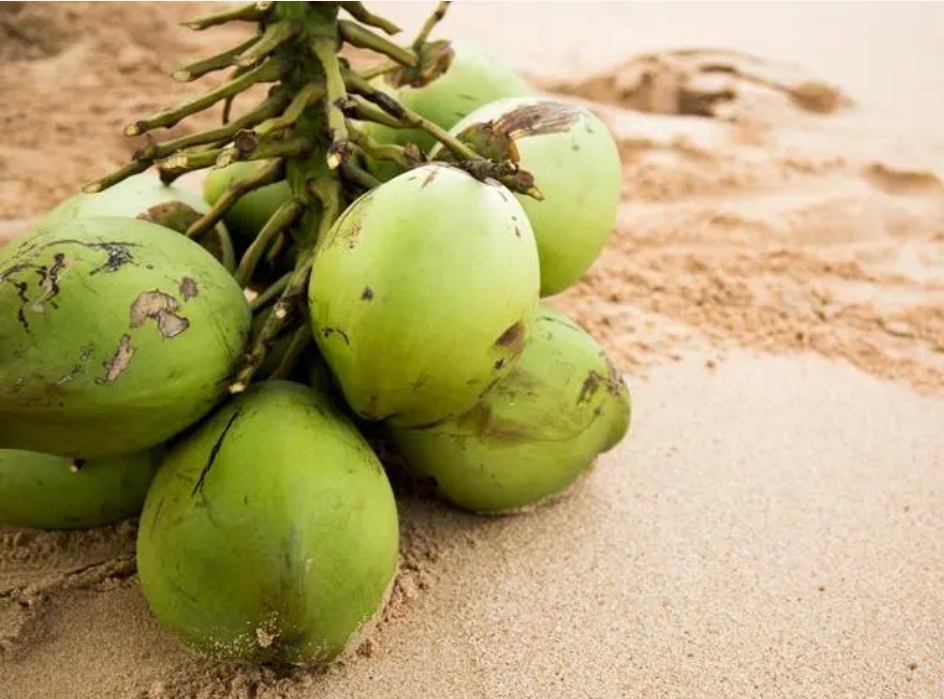 1720595522294401.png 微(wēi)信截圖_20240709150139.png